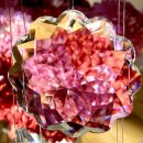 Blumen Kristall